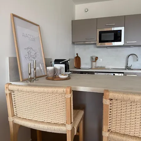 公寓 Grand Confort-marinella-face Mer-terrasse 阿雅克肖